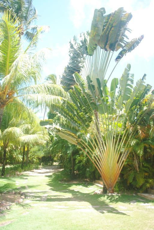 Casa Girassois Villa Praia de Pipa Buitenkant foto
