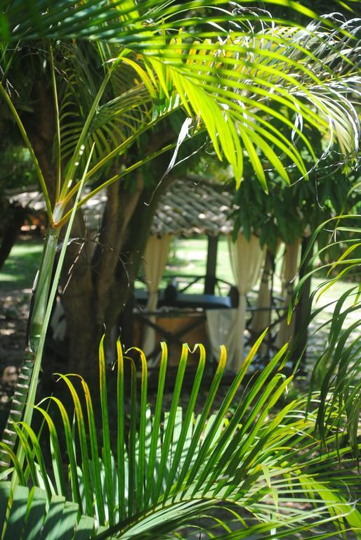 Casa Girassois Villa Praia de Pipa Buitenkant foto